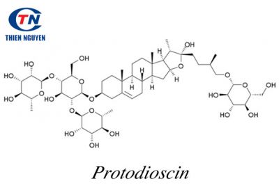 Vai trò của Protodioscin đối với sinh lý nam